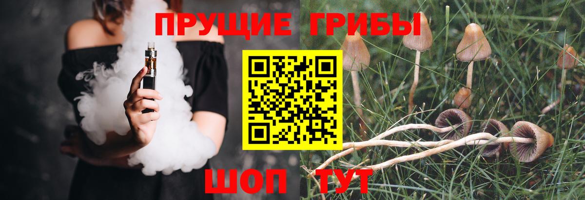 Псилоцибиновые грибы GOLDEN TEACHER Ирбит